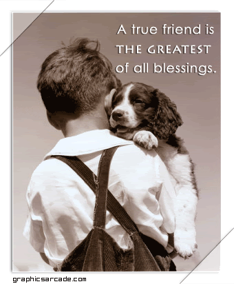 friendship_dog.gif FRIENDS image by gambleladymo