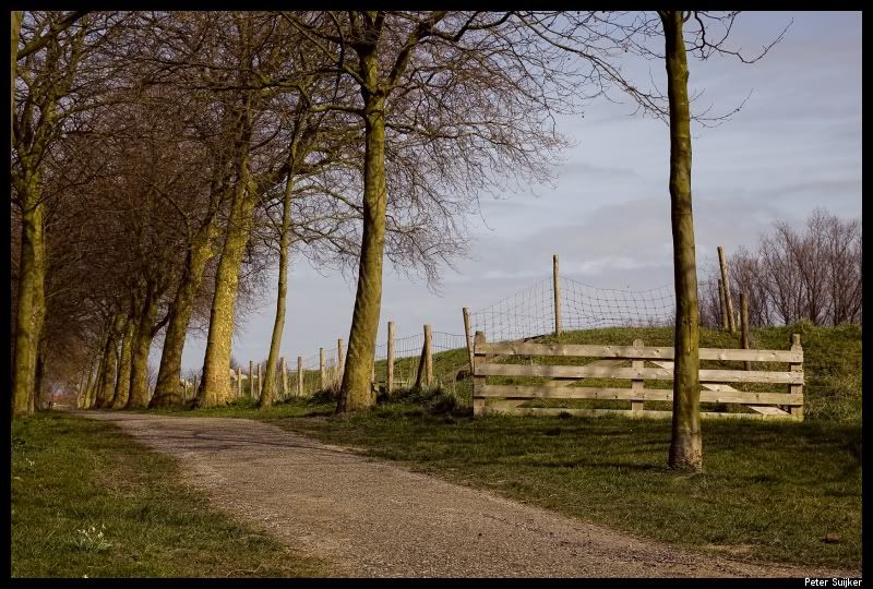 Fotografie
