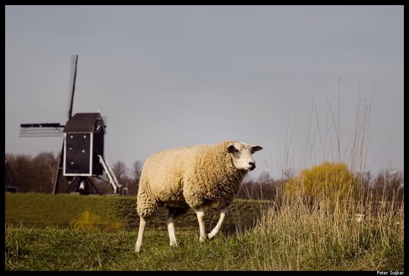 Fotografie