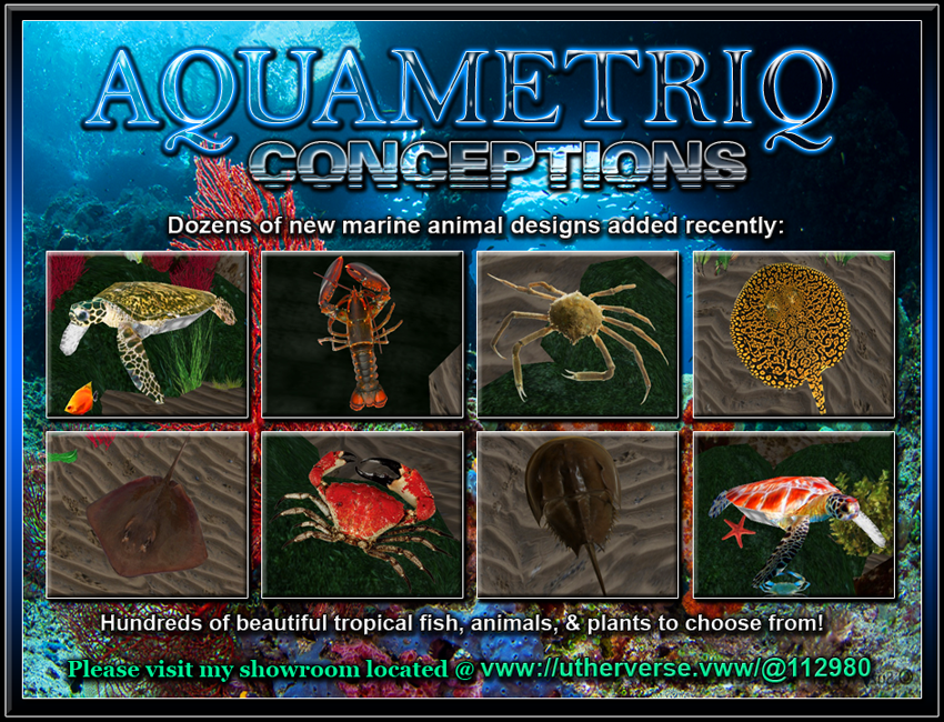 Aquametriq-Conceptions-new-designs-flyer-8A photo Aquametriq-Conceptions-new-designs-flyer-8A.png