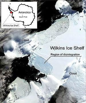 OFF THE SHELF: A 415sq/km chunk of the Wilkins Ice Shelf has collapsed into the Ancarctic ocean.<br /> REUTERS.