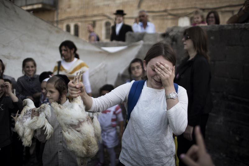 Jewish kaparot ceremony: chickens being sacrificed.  Photo: Lawrence K. Ho/Los Angeles Times.