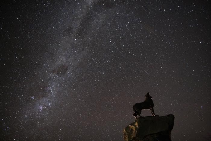 SHINING LIGHTS: The night sky at Tekapo is likely to become a World Heritage site. — FRASER GUNN.