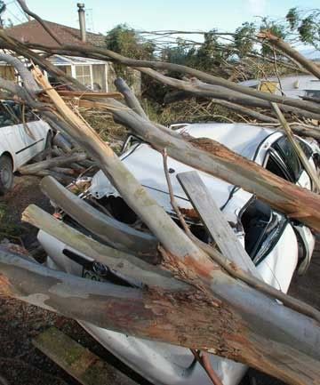 EXTREME WEATHER: Scientists say more events like the tornado that caused this destruction in Waikanae will occur as a result of climate change. — ANDREW GORRIE/The Dominion Post.