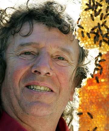 KING BEE: Jacob De Ruiter has kept bees for more than 20 years and believes they thrive best when left alone.  CRAIG SIMCOX/The Dominion Post.