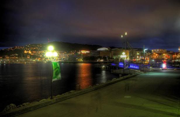 Looking across the waterfront towards Te Papa and the marina from Frank Kitts Park. Slight “ghosts” of pedestrians are visible, caused by the blending of multiple photos. — LUKE APPLEBY/Dominion Post.