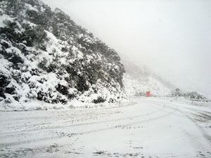 WHITE BARRIER: Last week's polar blast closed the Rimutaka Hill Road.
