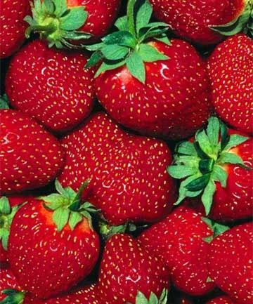 USED TO BE COOL: Strawberries seem to have lost their flavour.