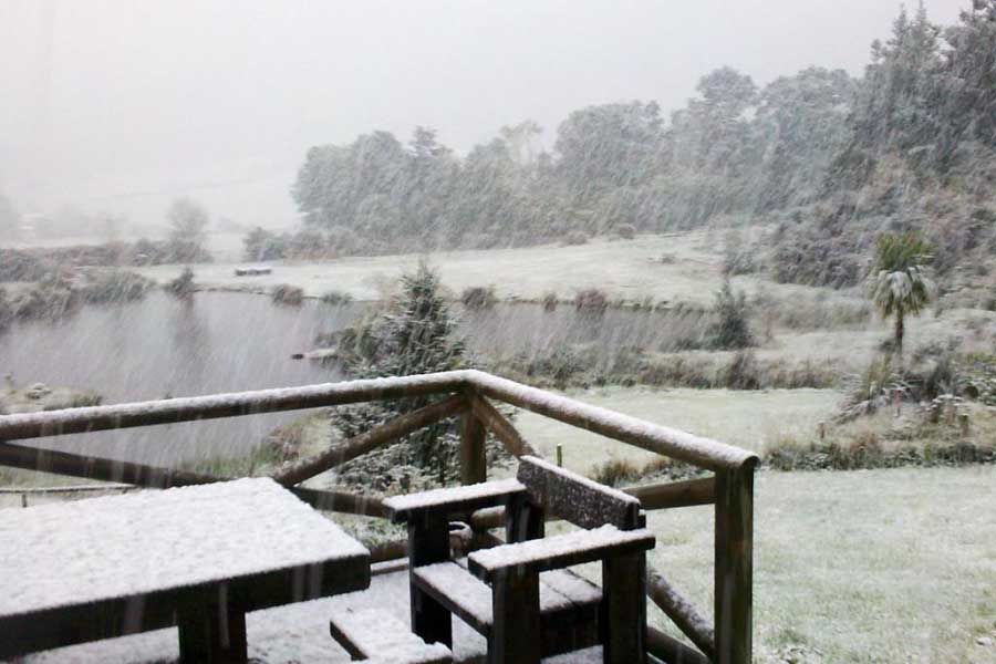 BRRR: Snow falls heavily in Kaitoke, Upper Hutt. — Photo: PETE THOMSON.