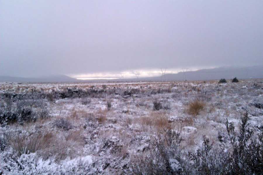 FIRST TASTE OF EARLY WINTER: Snow on the Desert Road this morning. — MIKE WATSON/Fairfax NZ.