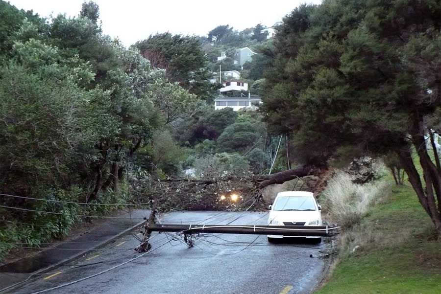 WARMING CLIMATE: A falling tree took out a power pole and lines, blocking Warwick Street in the Wellington suburb of Wilton. — Photo: KIRSTY FARRANT.