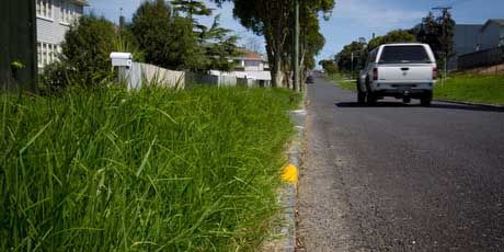 The council will save $3 million a year by not mowing grass berms such as these overgrown areas in Segar Avenue, Mount Albert.  Photo: Sarah Ivey .