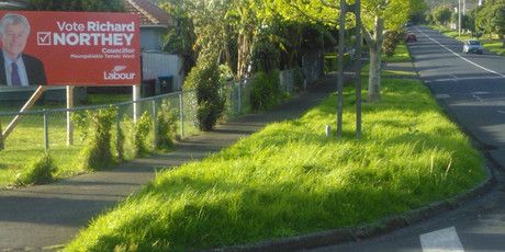Onehunga resident Mike Haley says this overgrown berm is one of about 30% in his area not being mown.