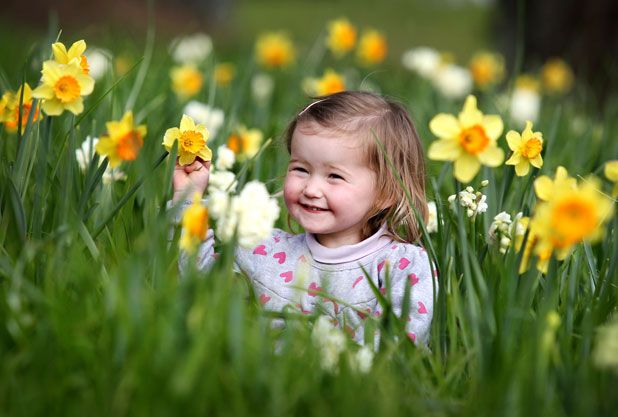 SPRINGING AHEAD: Taranaki's Hudson Simons, 22 months, checks out the daffodils already growing at the bottom of Marsland Hill in New Plymouth.  ANDY JACKSON/Fairfax NZ.