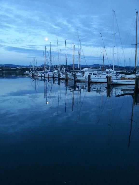 Alex Macuer wasn't even aware there was a supermoon when taking this photo on Friday at Evans Bay Marina. “I just thought it was a beautiful moon.” — Photo: Alex Macuer.
