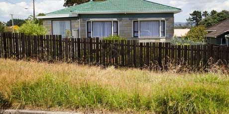 The overgrown grass berm at the intersection of Fir Street and Seaside Avenue in Waterview. — Photo: Richard Robinson.