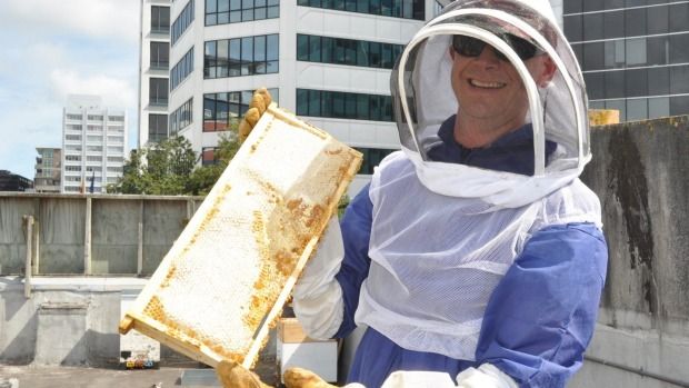 AT THE HIVE: WBC owner Tom Hutchison with a full frame of honey from the restaurant's hives.  AMY JACKMAN/Fairfax NZ.