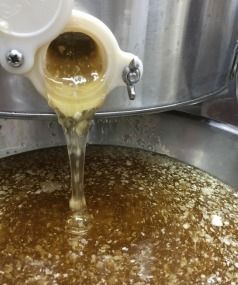 SWEET NECTAR: Honey from the hives on the roof of WBC spills out of the extractor.  Photo: TOM HUTCHISON.