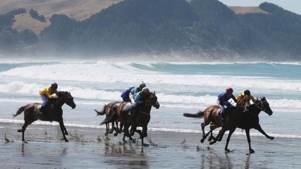 Horses hit their stride in Saturday's Castlepoint beach races in Wairarapa. — Photograph: Caleb Harris/Fairfax NZ.