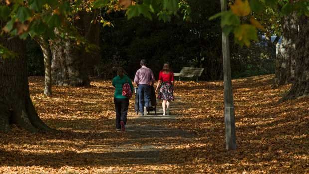 The leaves are falling but it still feels like summer in most parts of New Zealand.  Photograph: Joseph Johnson/Fairfax NZ.