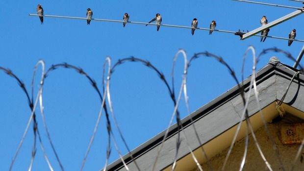 Razor wire at Wellington Prison.