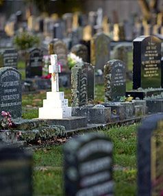 NEAR FULL: Christchurch's planners are considering how to extend the use of the 16 cemeteries that can take burials.  JOHN KIRK-ANDERSON/The Press.
