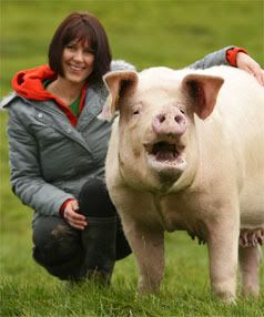 PRETTY, PRETTY PIGGY-SUE: Carolyn Press-McKenzie and Piggy-Sue who is sitting pretty after life in a stall.  ROBERT KITCHIN/The Dominion Post.