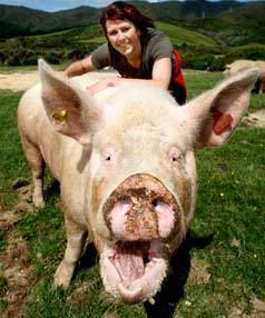 FIT AND HAPPY: Piggy-Sue with owner Carolyn Press-McKenzie. She wags her tail all the time.  KENT BLECHYNDEN/The Dominion Post.