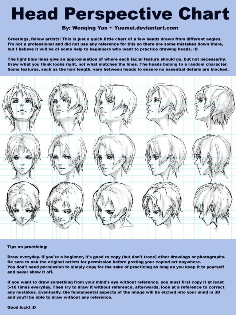 Head_Perspective_Chart_by_yuumei.jpg