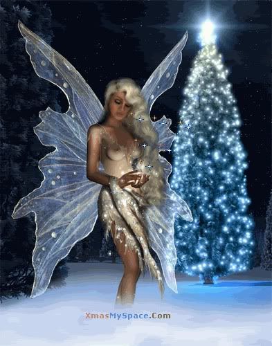 christmas fairy Pictures, Images and Photos