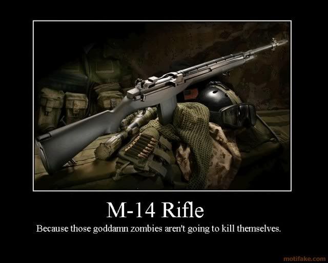 m-14-m-14-rifle-zombie-demotivation.jpg