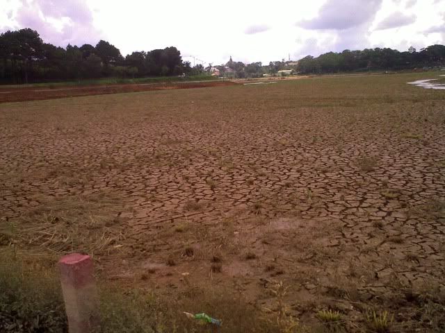 topic về những hình ảnh chụp bằng điện thoại di động - 2