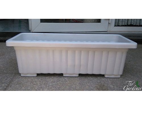 The Gardener - Cung cấp giải pháp trồng rau tại nhà từ A-Z - 6