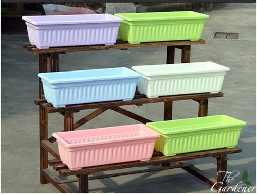 The Gardener - Cung cấp giải pháp trồng rau tại nhà từ A-Z - 1