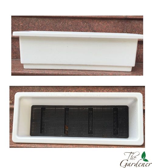 The Gardener - Cung cấp giải pháp trồng rau tại nhà từ A-Z - 15