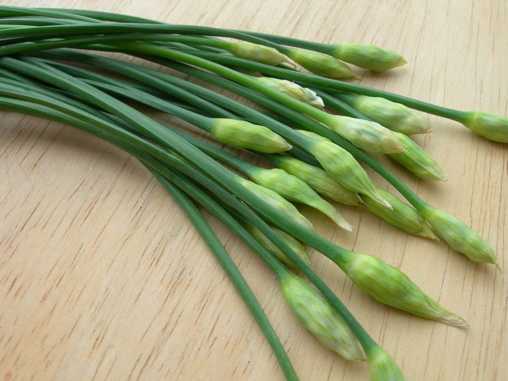 The Gardener - Cung cấp giải pháp trồng rau tại nhà từ A-Z - 29