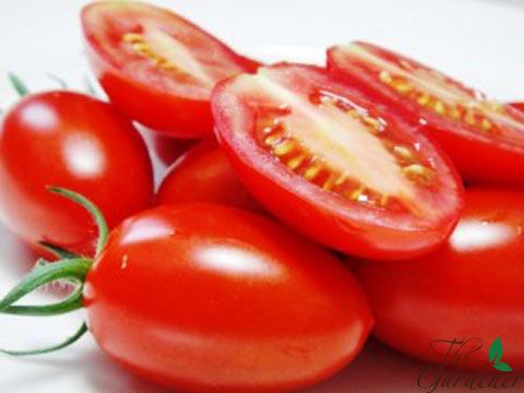 The Gardener - Cung cấp giải pháp trồng rau tại nhà từ A-Z - 27