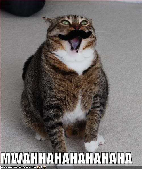 Forum Image: http://i365.photobucket.com/albums/oo94/rattyfleef/128873439711927491.jpg