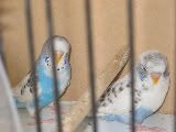 IMG_0094-1.jpg