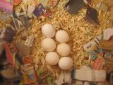 IMG_0100-1.jpg