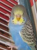 IMG_0104-2-1.jpg