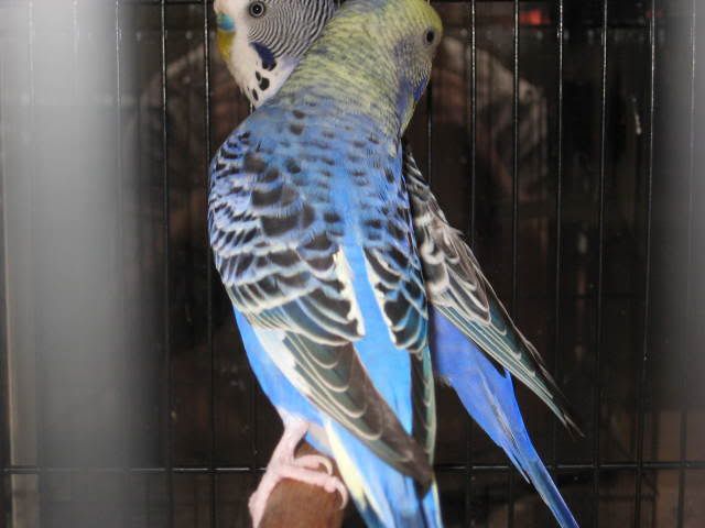 IMG_0287.jpg