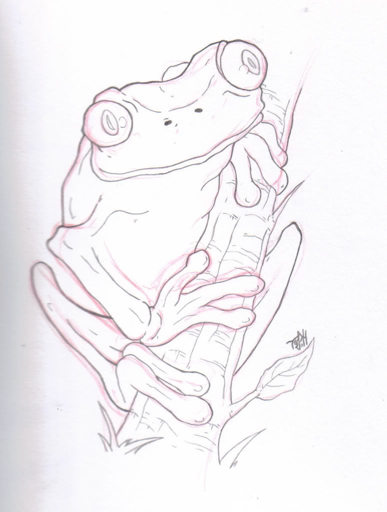Tree frog tattoo sketch in the