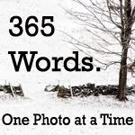 365 Words through Photos