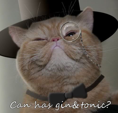 Aristocatgin.jpg