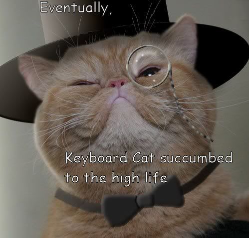 Aristokeyboardcat.jpg