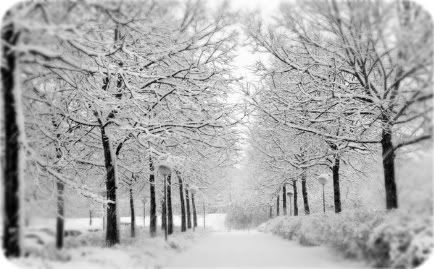 Winter Snow Pictures, Images and Photos