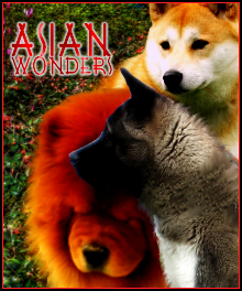 Asian Wonders Dragon Heart