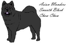 Asian Wonders Black Silk