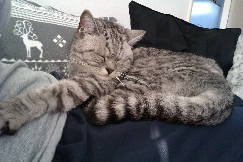 IMAG0199-kopie.jpg